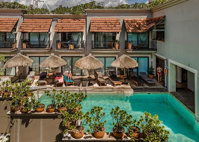 Caribbean Paradise Hotel & Spa - 5Th Avenue Playa del Carmen