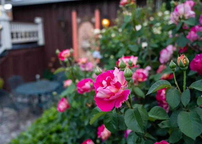 Gunn House Hotel Sonora