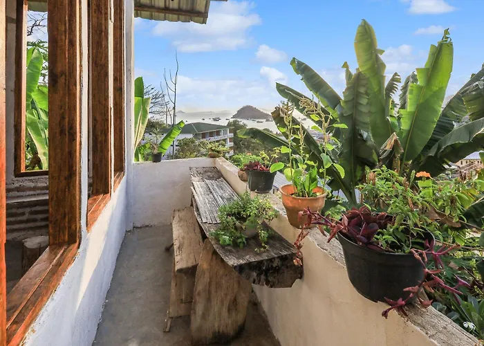 Palulu Garden Homestay Labuan Bajo
