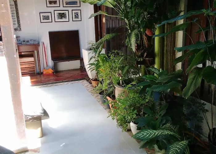 Hotel Cintra House George Town