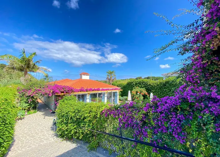 Terra Vivaz - Ribeira Cottage Ribeira Grande