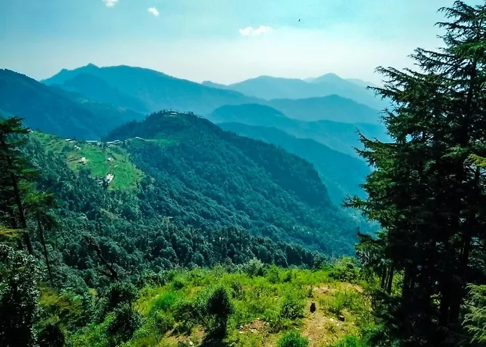 Hotel Bliss Valley - Hotel In Dharamshala