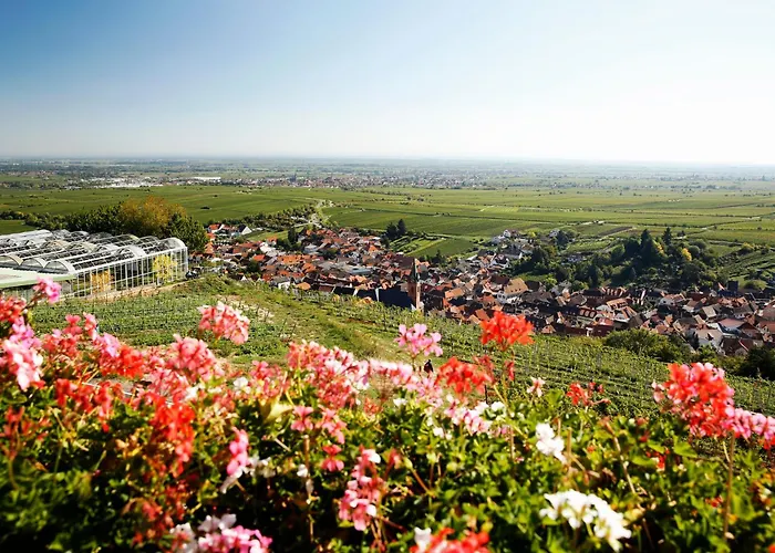 Arens Hotel 327Mnn Sankt Martin