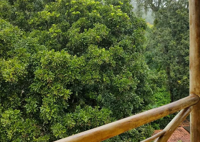 Refúgio Do Paraty Mirim - Café da Manhã Incluso - Estacionamento Privado - Melhor Custo Benefício - Localização Privilegiada - Entre as Mais Belas Praias