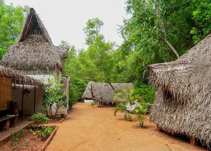 Nebula Nest Cafe & Hostel Auroville
