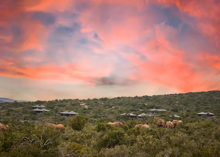 Kwandwe Private Game Reserve - Ecca Lodge Grahamstown