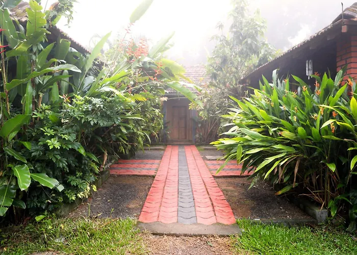 Bovera Orchards Coorg By Luxdens Hotels Virajpet