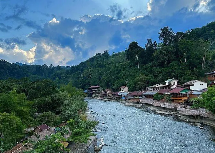 Jungle Life Guesthouse Trekking & Transport Book With Us Bukit Lawang