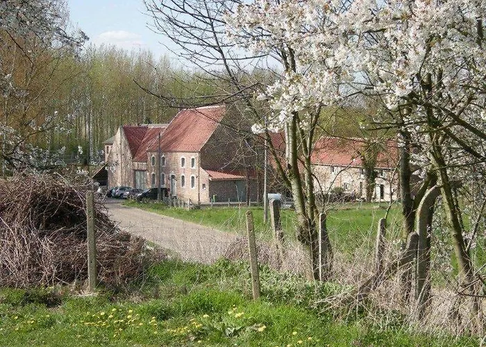 De Verborgen Parel Borgloon