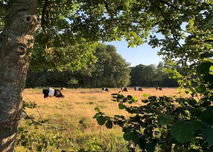 De Hiddinghhoeve Onstwedde
