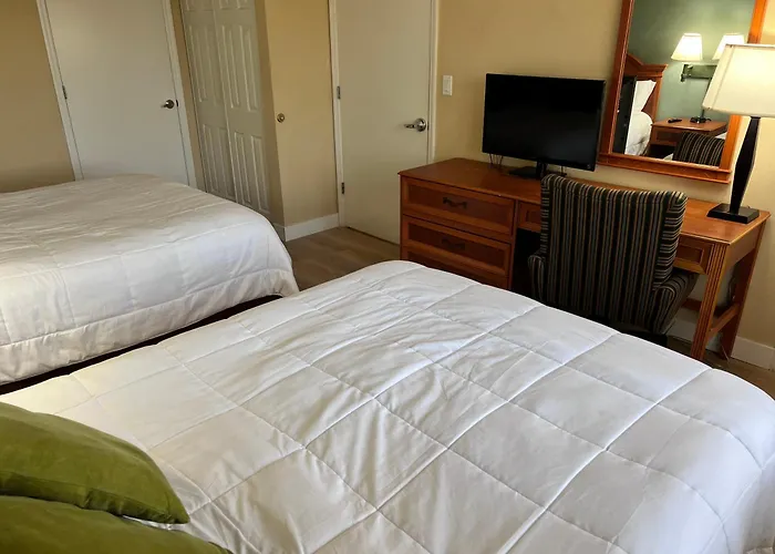 Great Condo Incredible Location Orlando