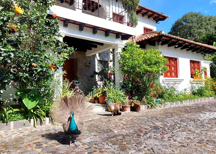 Hotel Y Jardines Casa Buho Antigua