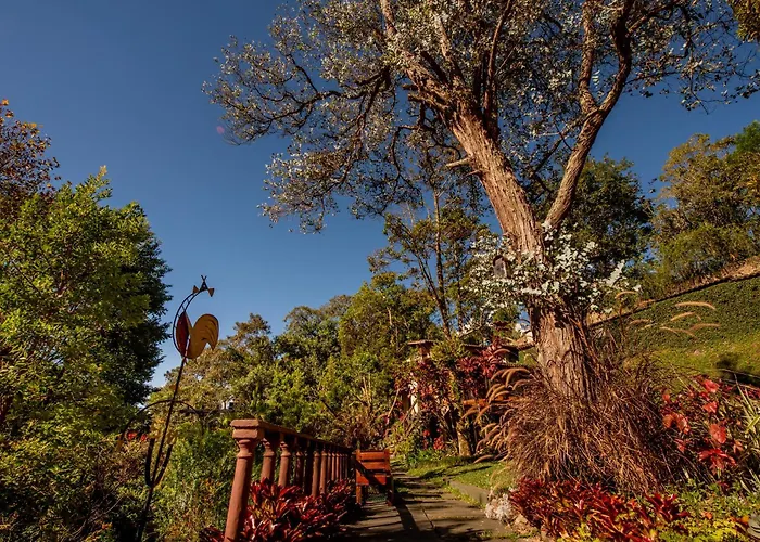 Pousada Monte Imperial Petrópolis