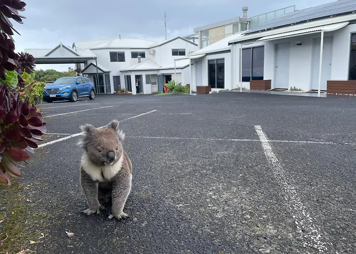 Coastal Motel Apollo Bay