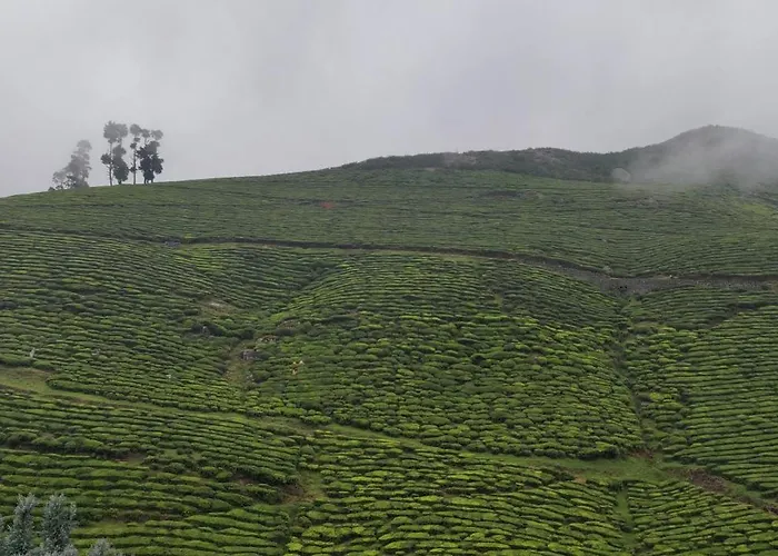Hill Bird Heritage Home Stay Ooty