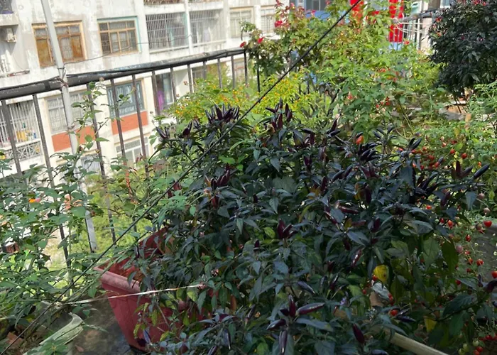 Tan Da Hotel TP. Hồ Chí Minh