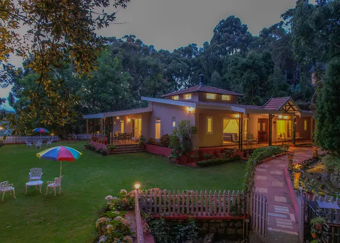 Rayne Forest Kotagiri