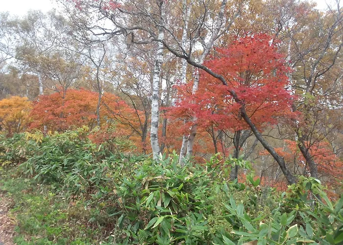 Yudanaka Yasuragi Hotel Yamanouchi 