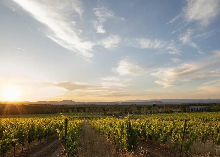 Ultimate Provence Hotel & Spa La Garde-Freinet