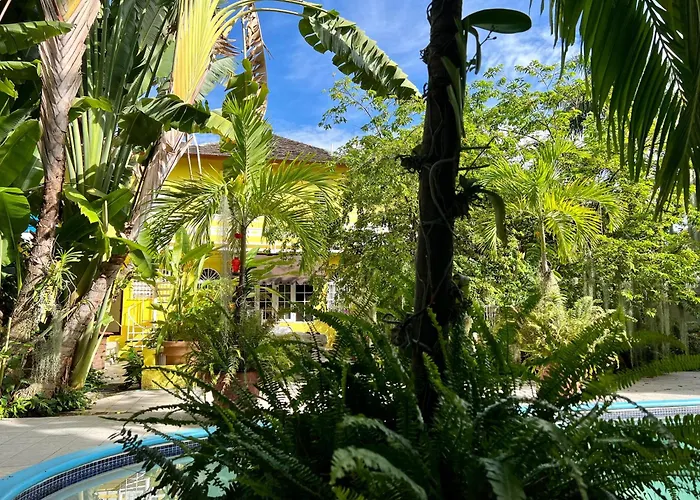 Orchid Cottage Kingston