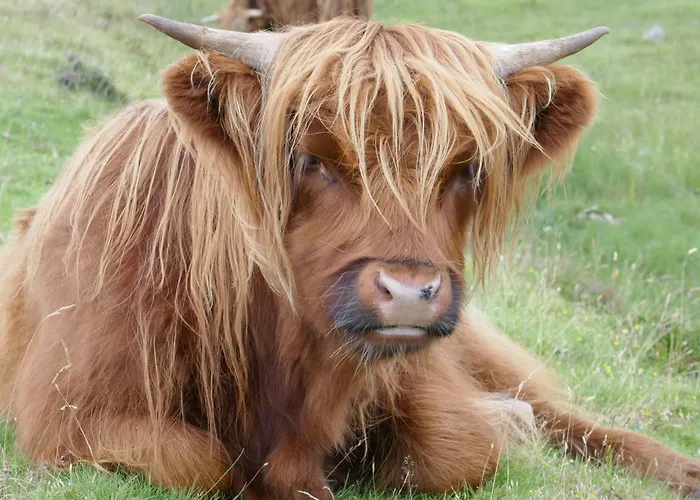 Greenlawns Nairn
