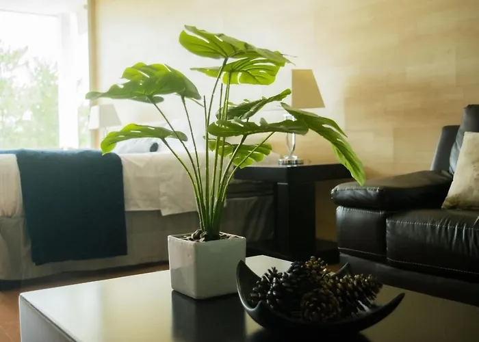 Giakor Suites - Gran Jardín León
