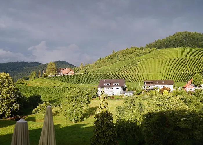 Hotel Faxe Schwarzwälder Hof Kappelrodeck