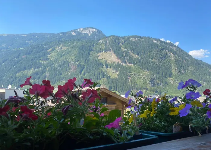 Pension Schwemberger Ohne Fruehstueck Mayrhofen