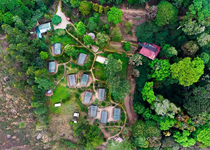Nature Zone Jungle Resort- Experience The Wilderness & Adventure Munnar