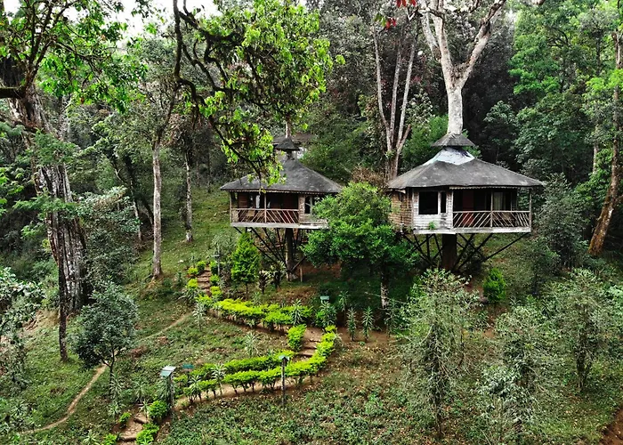 Nature Zone Jungle Resort- Experience The Wilderness & Adventure Munnar
