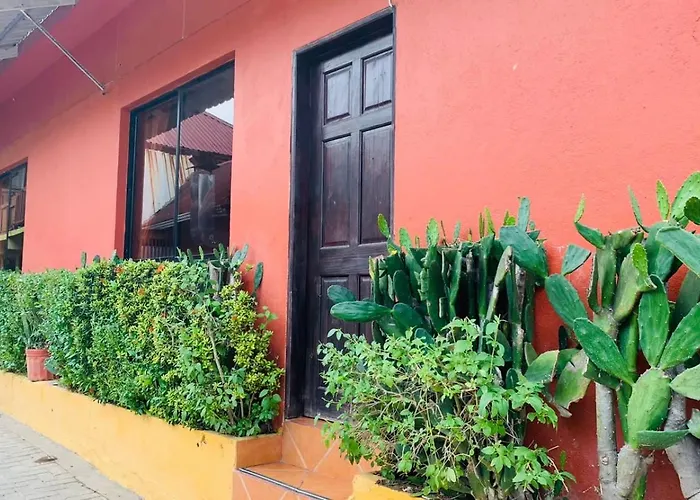 Hotel Cabinas Mar Y Cielo Montezuma