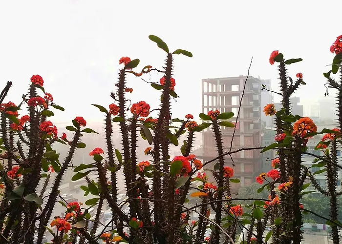Hotel Afford Inn Dhaka