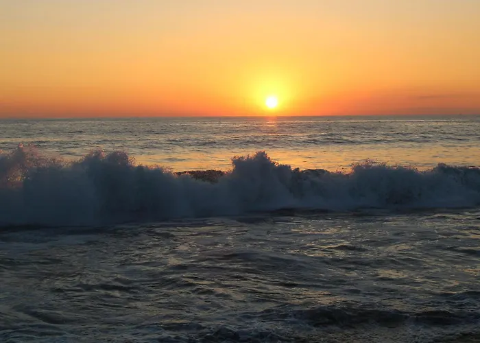 Surf Paradise Zicatela Puerto Escondido 