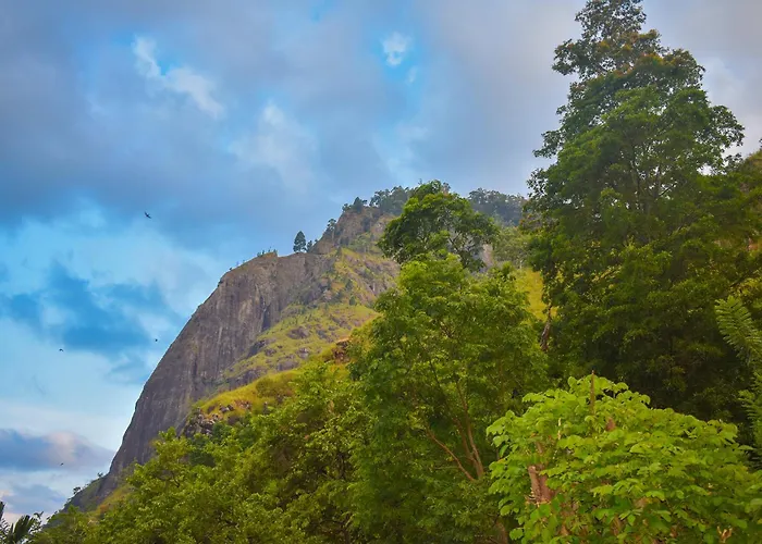 Nature Green Hotels On Rock Home Ella