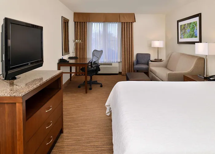Hilton Garden Inn Addison
