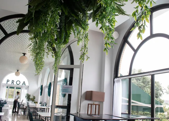 Hotel Olimpo Isla Plana