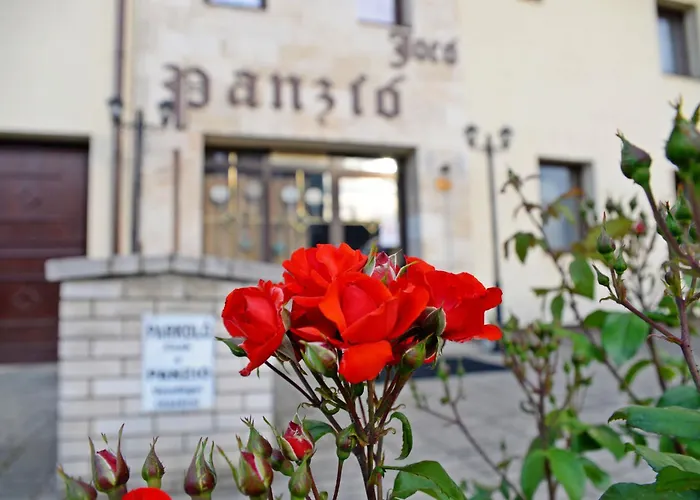 Jocó Panzió Hotel Nyíregyháza