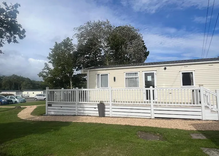 Forest Haven Sway
