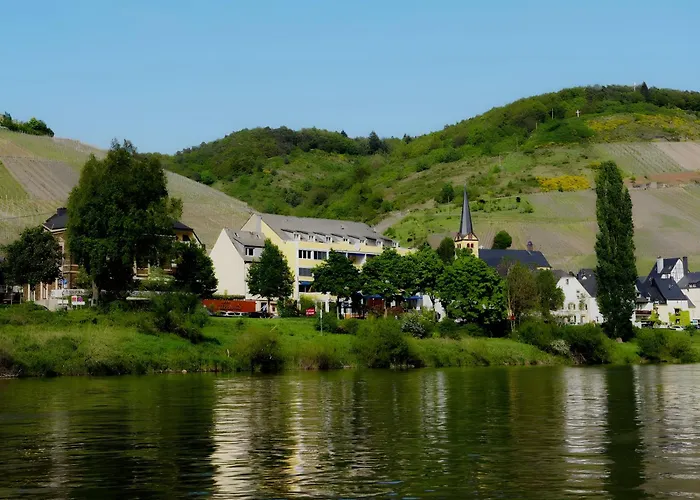 Vegan Hotel Und Restaurants Nicolay 1881 Zeltingen-Rachtig