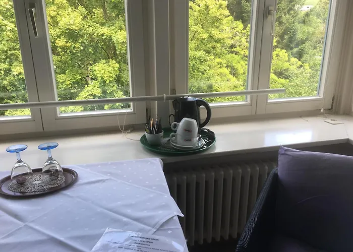 Gasthaus zum Löwen - Restaurant Akropolis Hausach