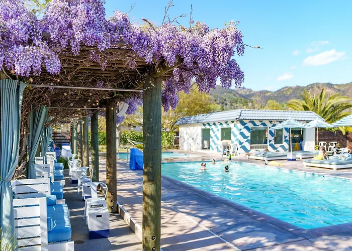 Calistoga Motor Lodge And Spa
