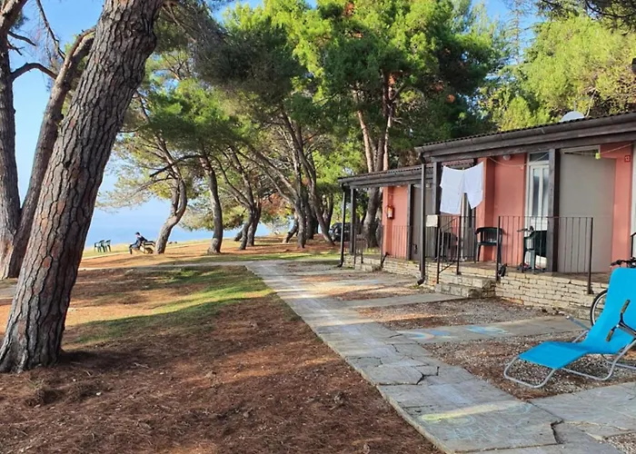 Family Bungalow Pineta Novigrad Istria