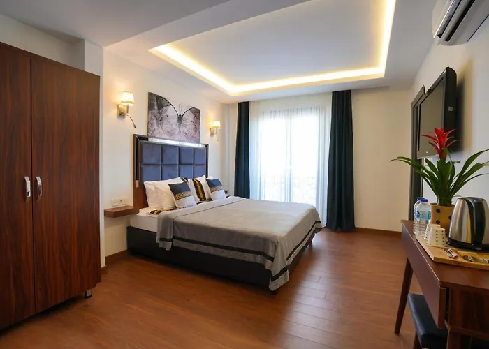 Violin Hotel Sultanahmet Istanboel