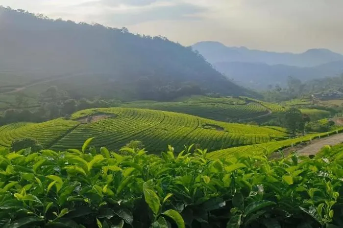 Mscb Guest House Idukki