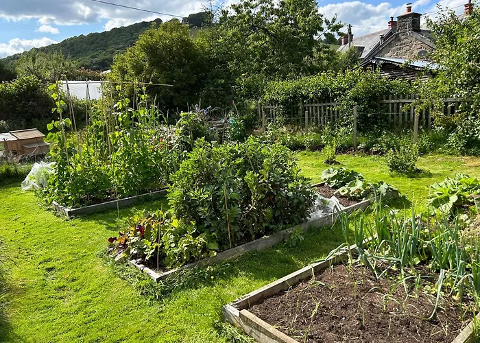 Y Felin Bed And Breakfast And Smallholding Caersws