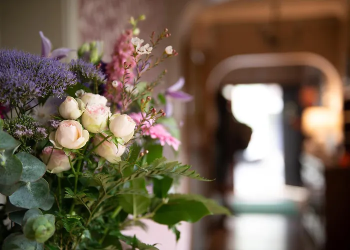 Adare Guesthouse Galway