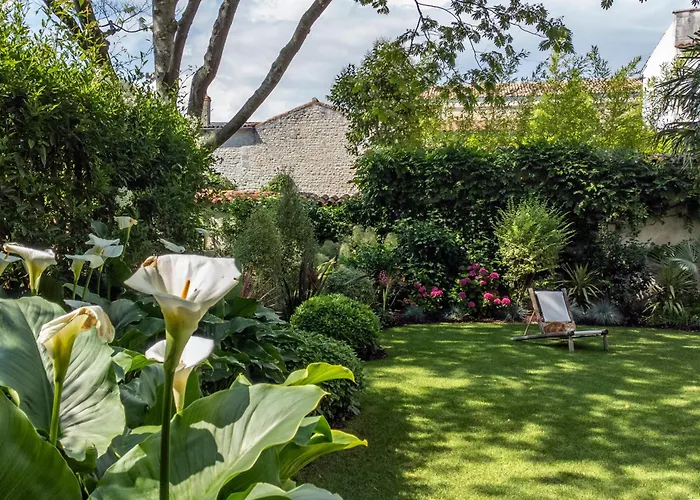 Escale Rochelaise B&B, SPA bain nordique et sauna tonneau La Rochelle 