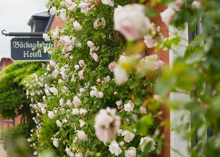 Hotell Baeckagarden Ystad