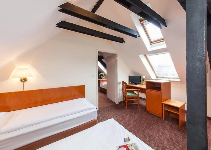 Hotel Ahl Meerkatzen Colonia