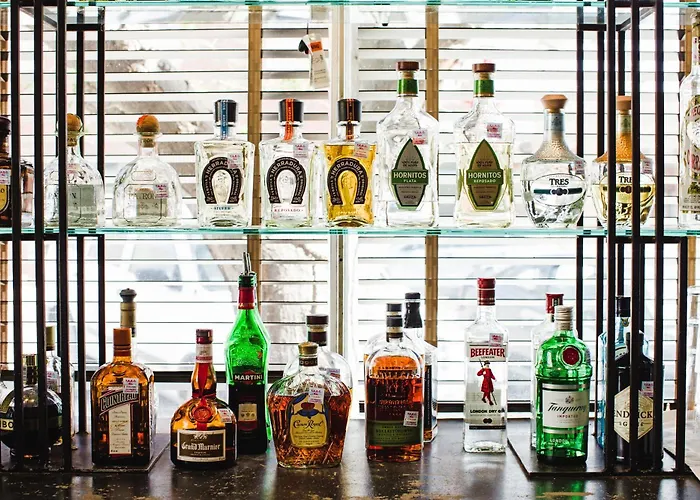 The Hotel Paisano Marfa